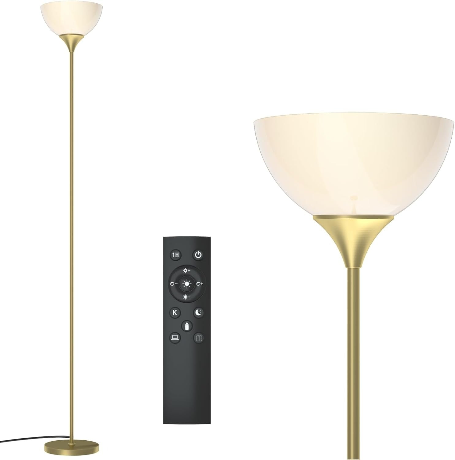 Floor Lamp, Remote Control, Stepless Brightness & Color Temperature